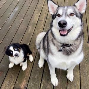 Meet your Posher, Stacey